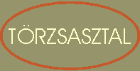 TRZSASZTAL